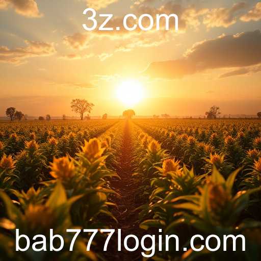 Reportagens da Mídia